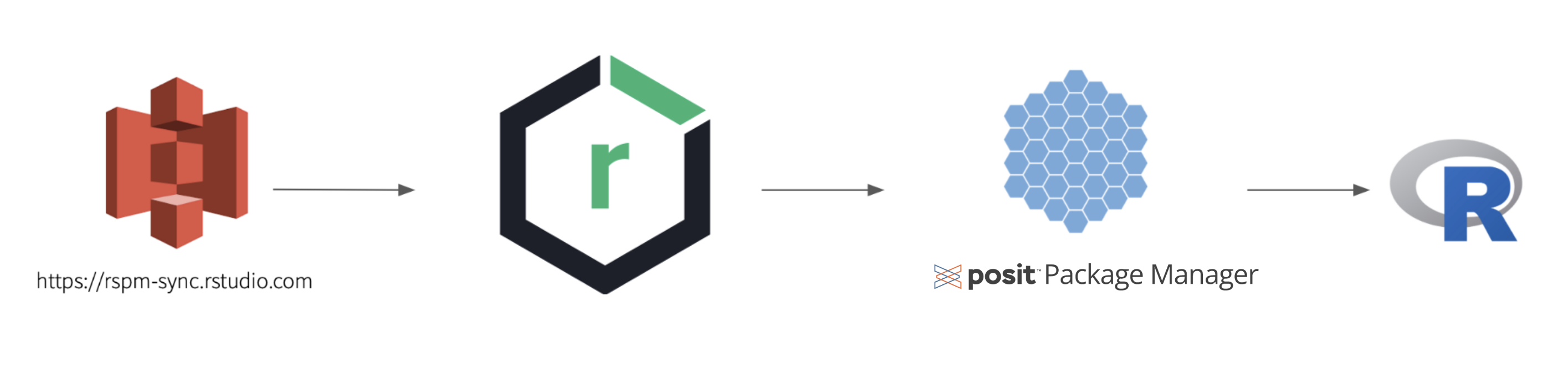 Nexus Repository and Posit Flowchart